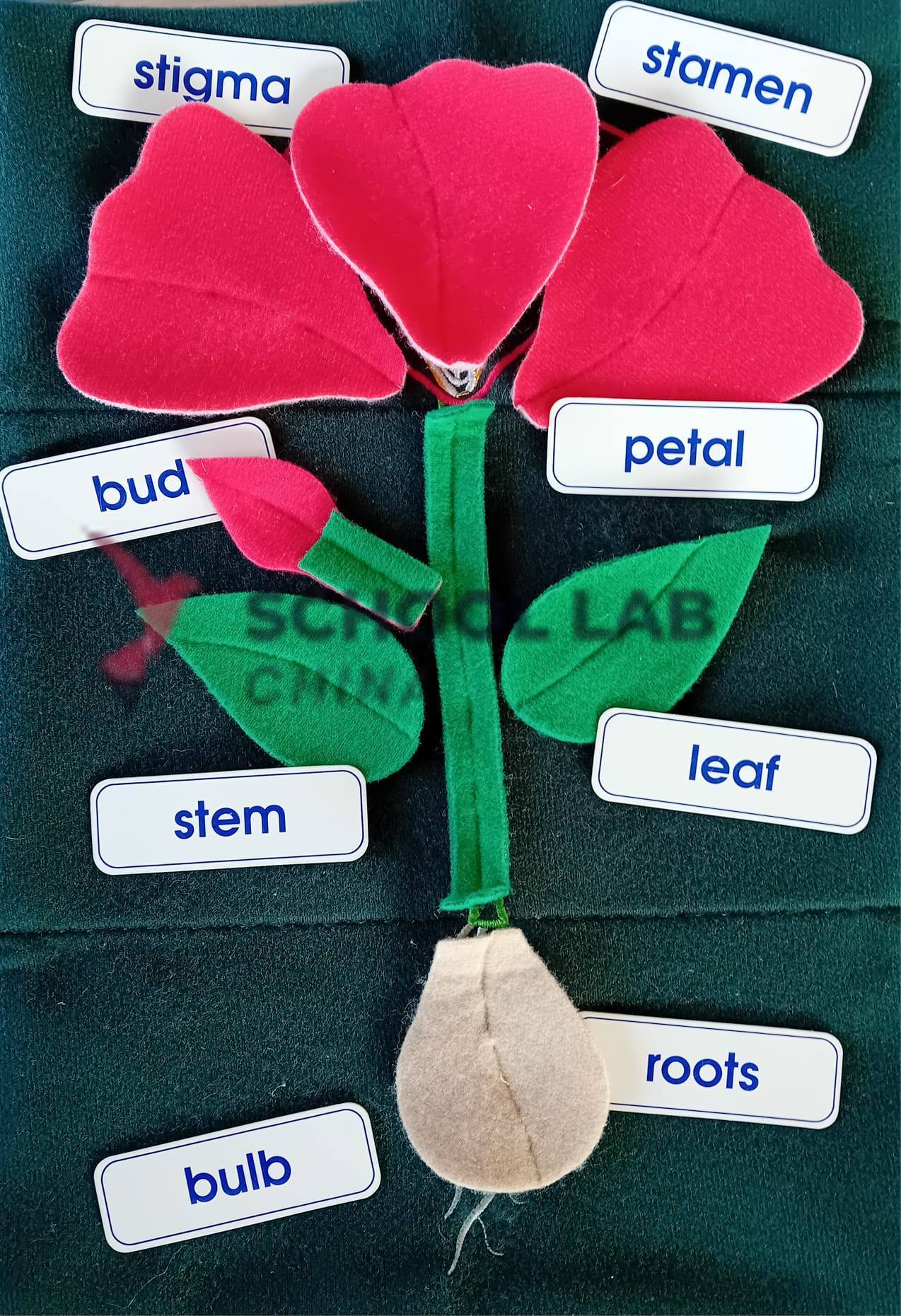 Plant In A Pocket - Wall Hanging